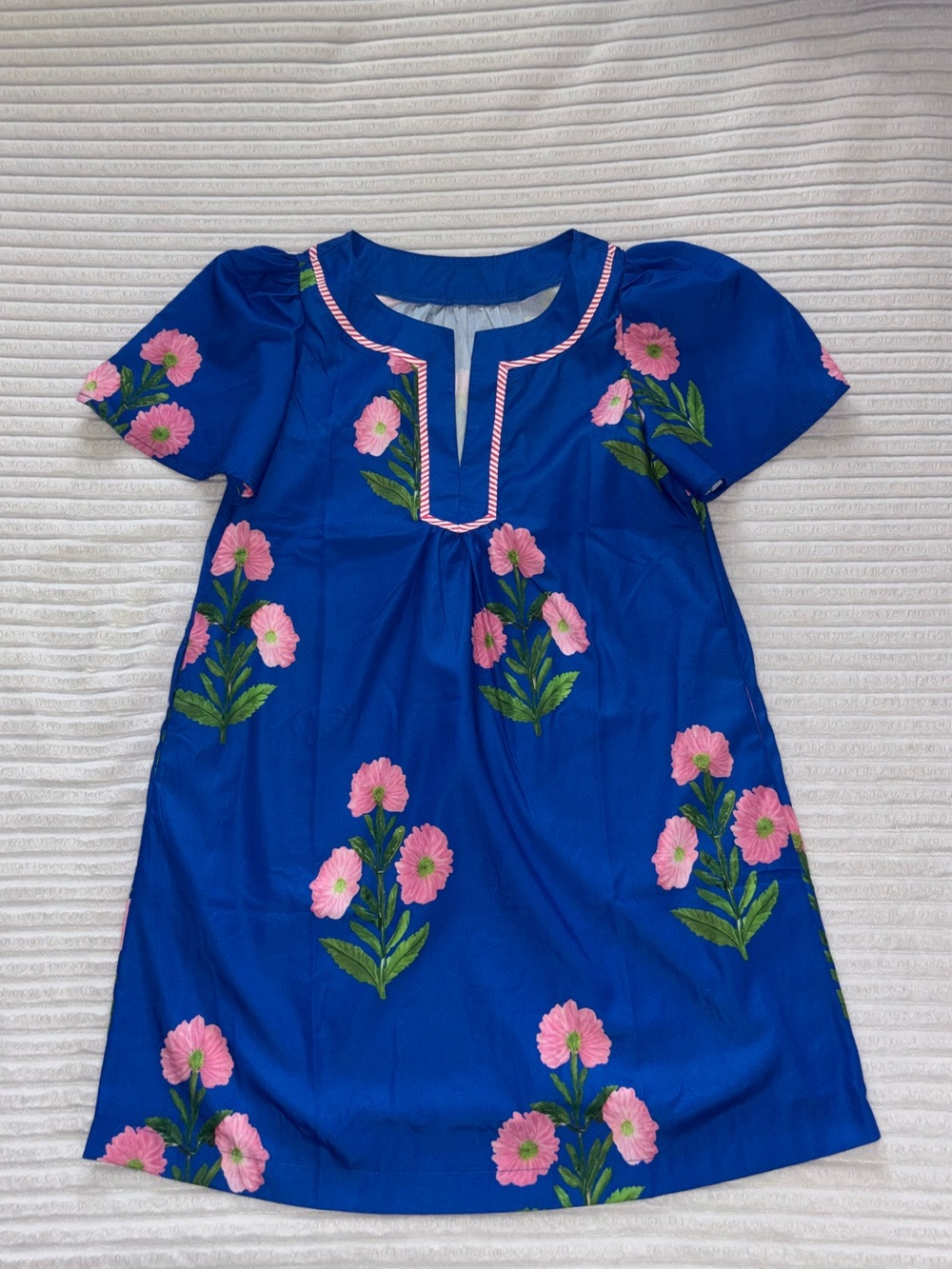 Blue Floral Embroidered Mini Dress with Pink Blooms